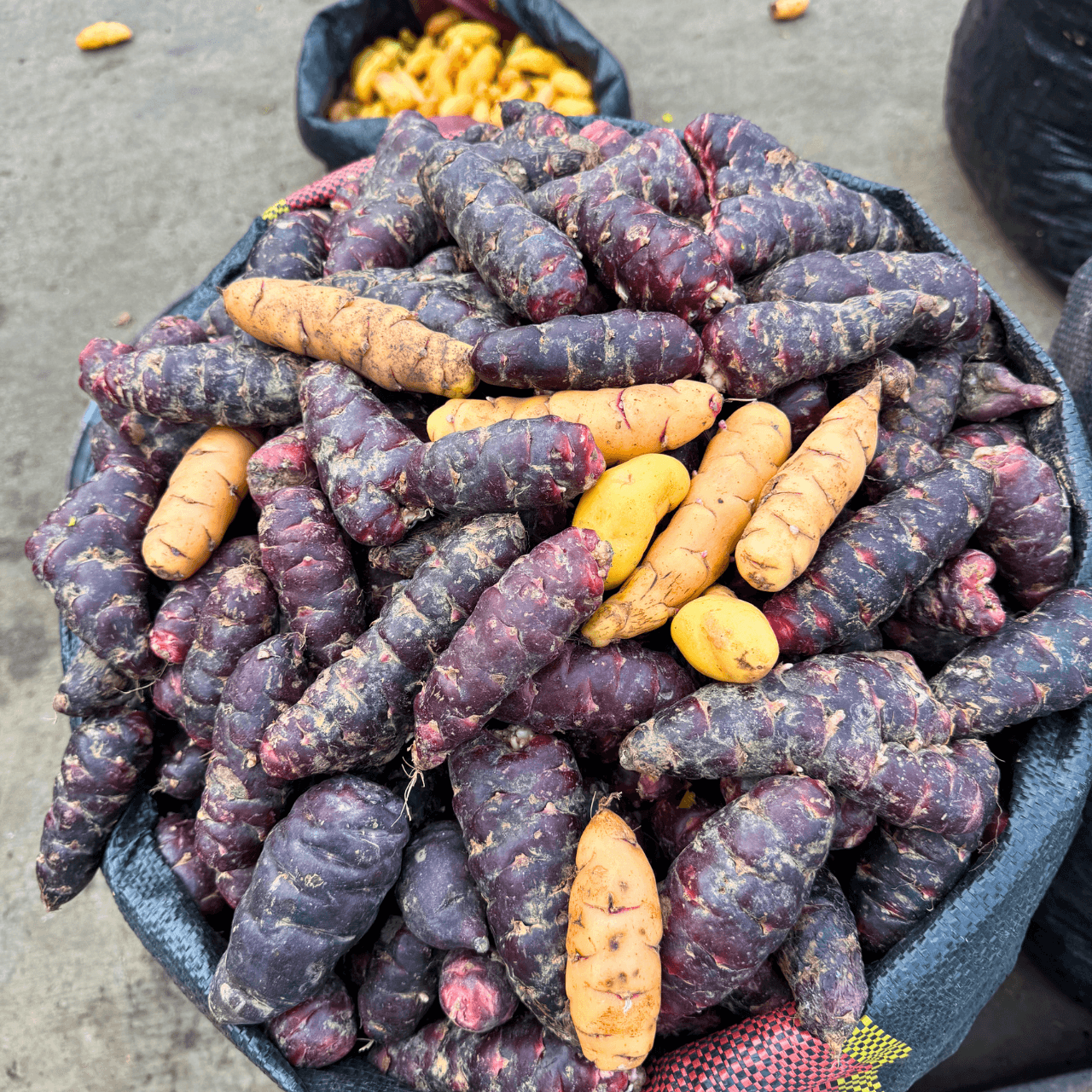 Andean tubers