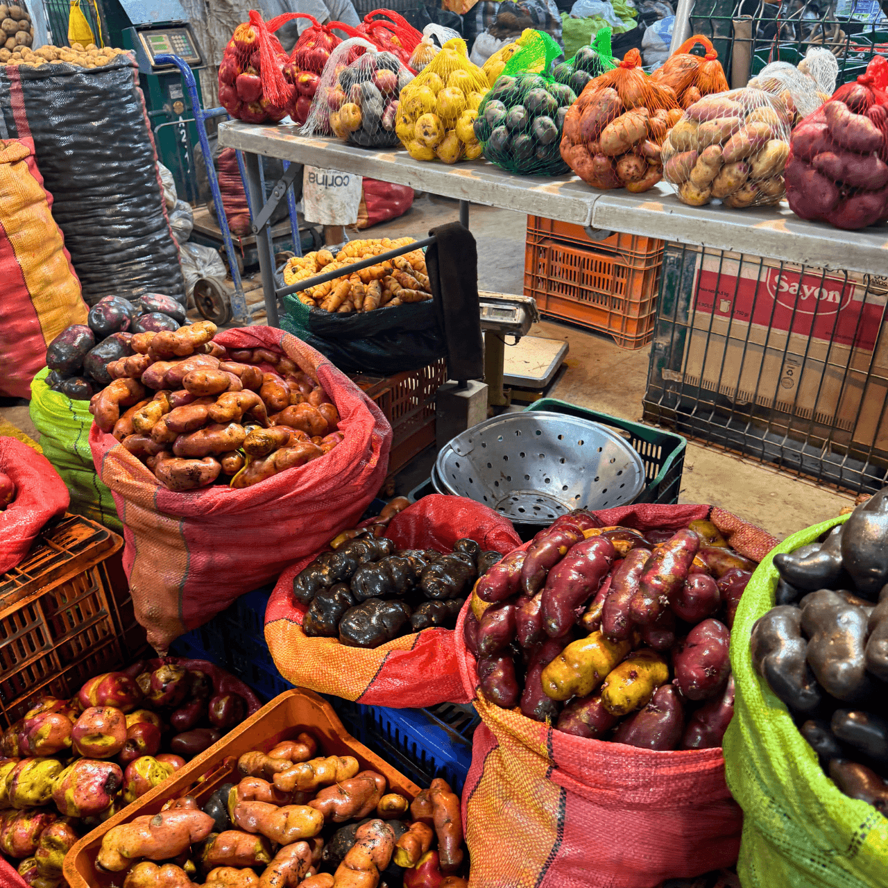 Potatoes of Peru