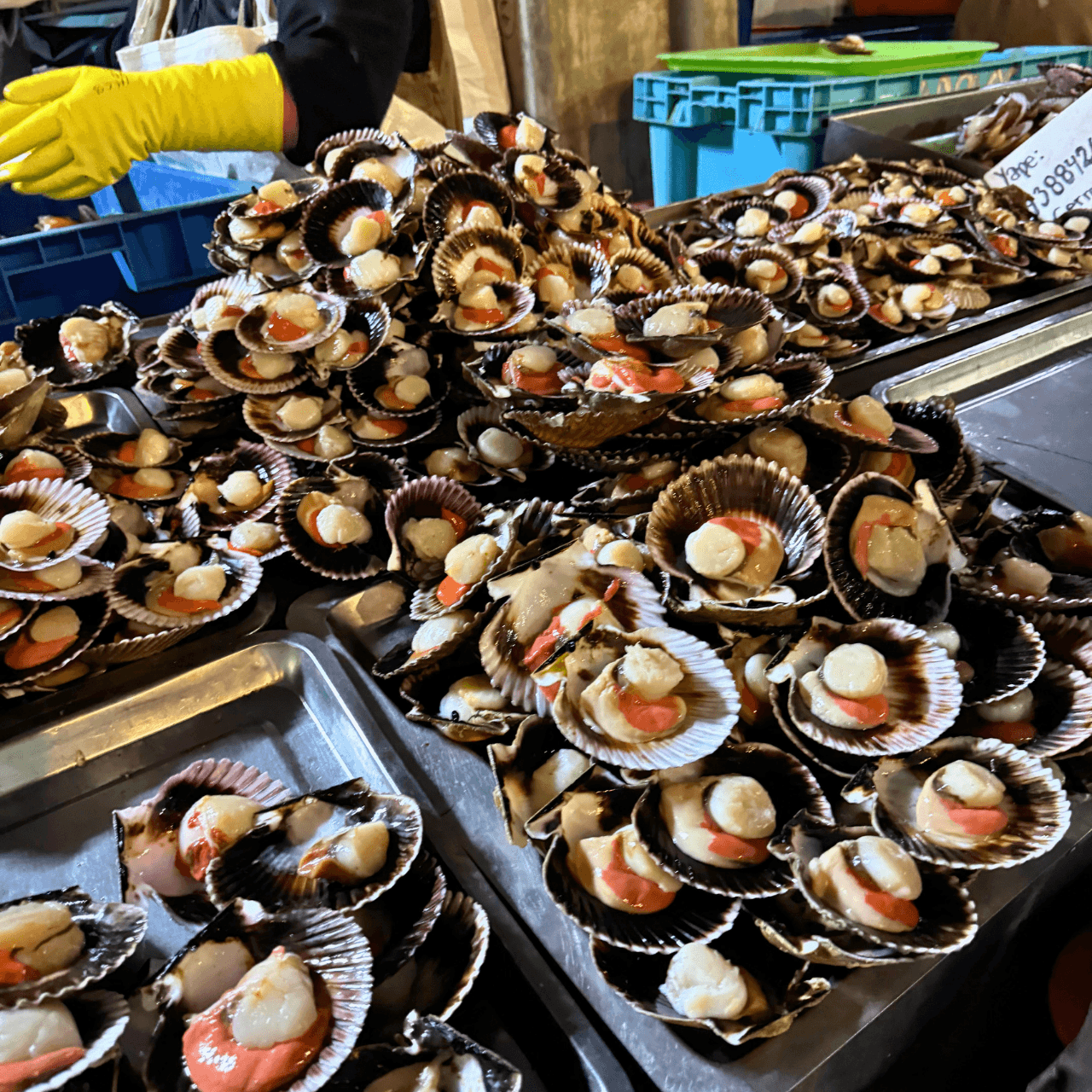 Bivalves and shellfish